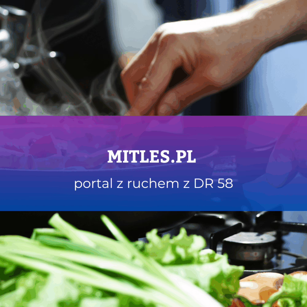 mitles.pl DR 58 Portal Premium