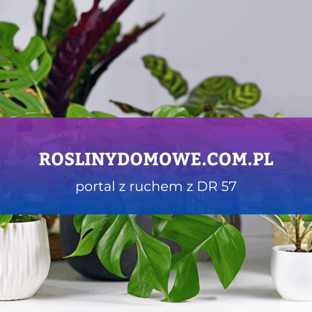 roslinydomowe.com.pl DR 57 Portal Premium