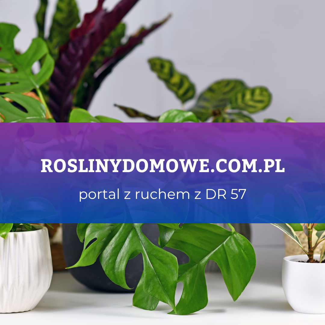 roslinydomowe.com.pl DR 57 Portal Premium